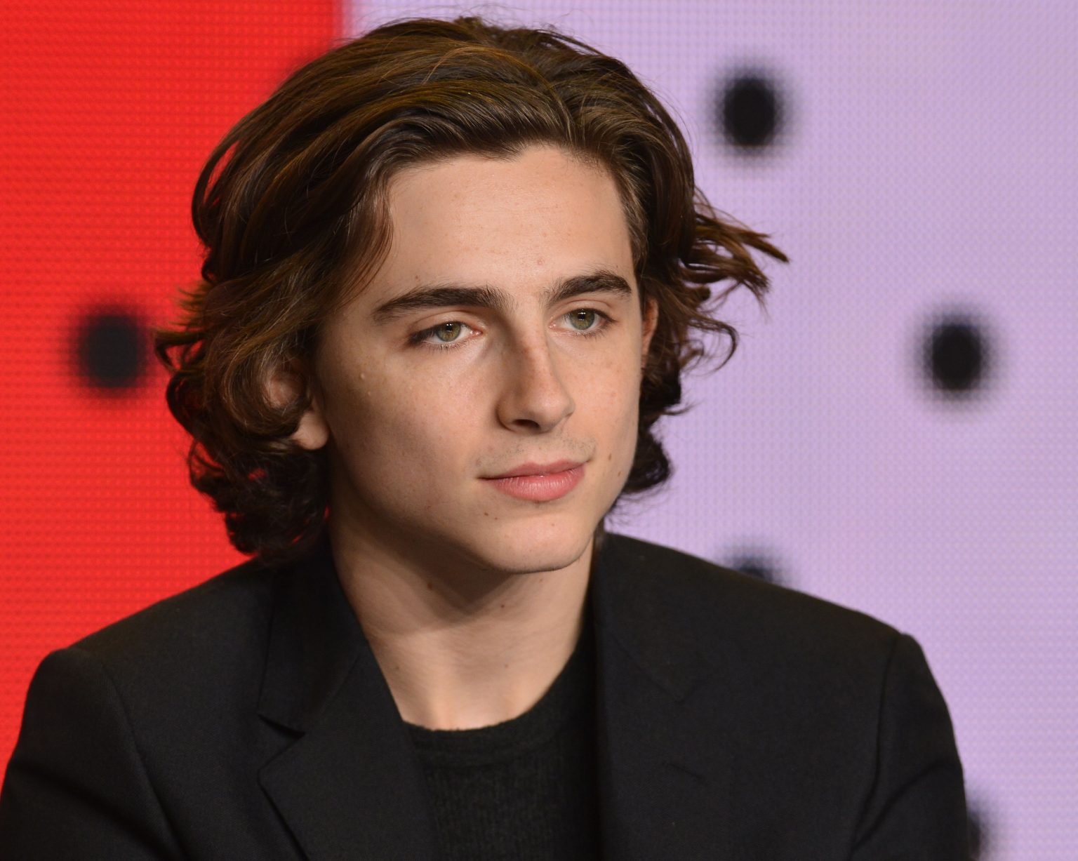 Timothee Chalamet Family Mother, Father, Wife, Girlfriend, Age, Height, Net Worth